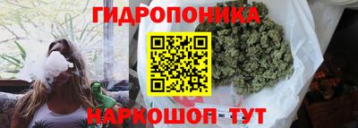 прущая мука Будённовск