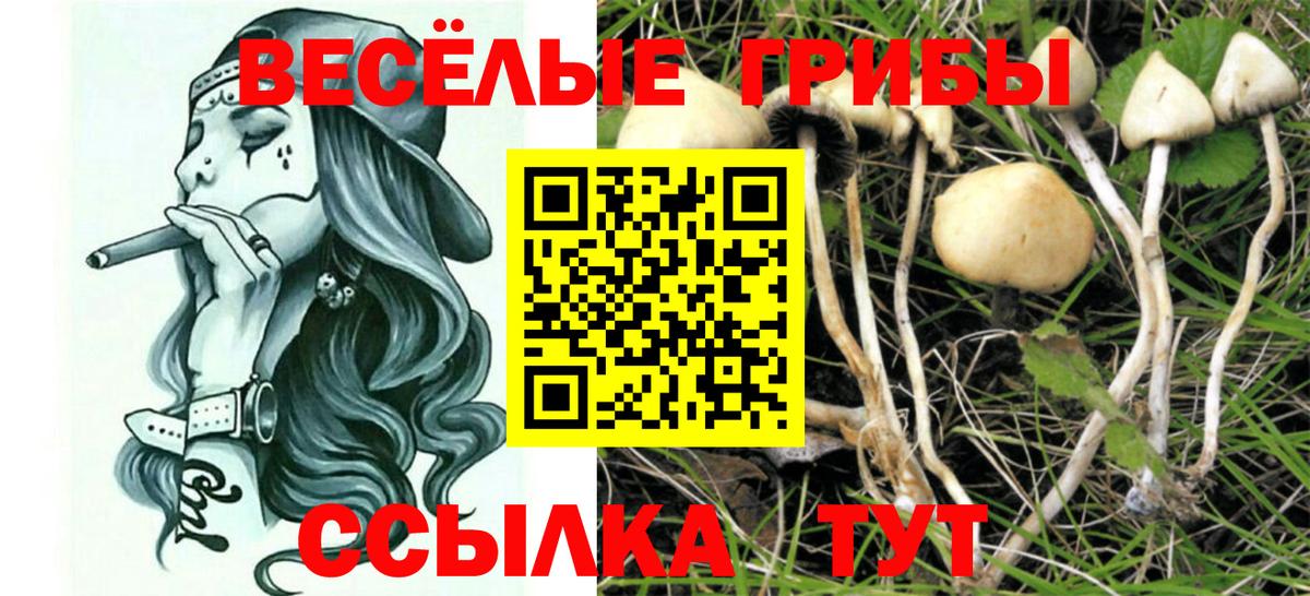 Псилоцибиновые грибы мицелий Октябрьский